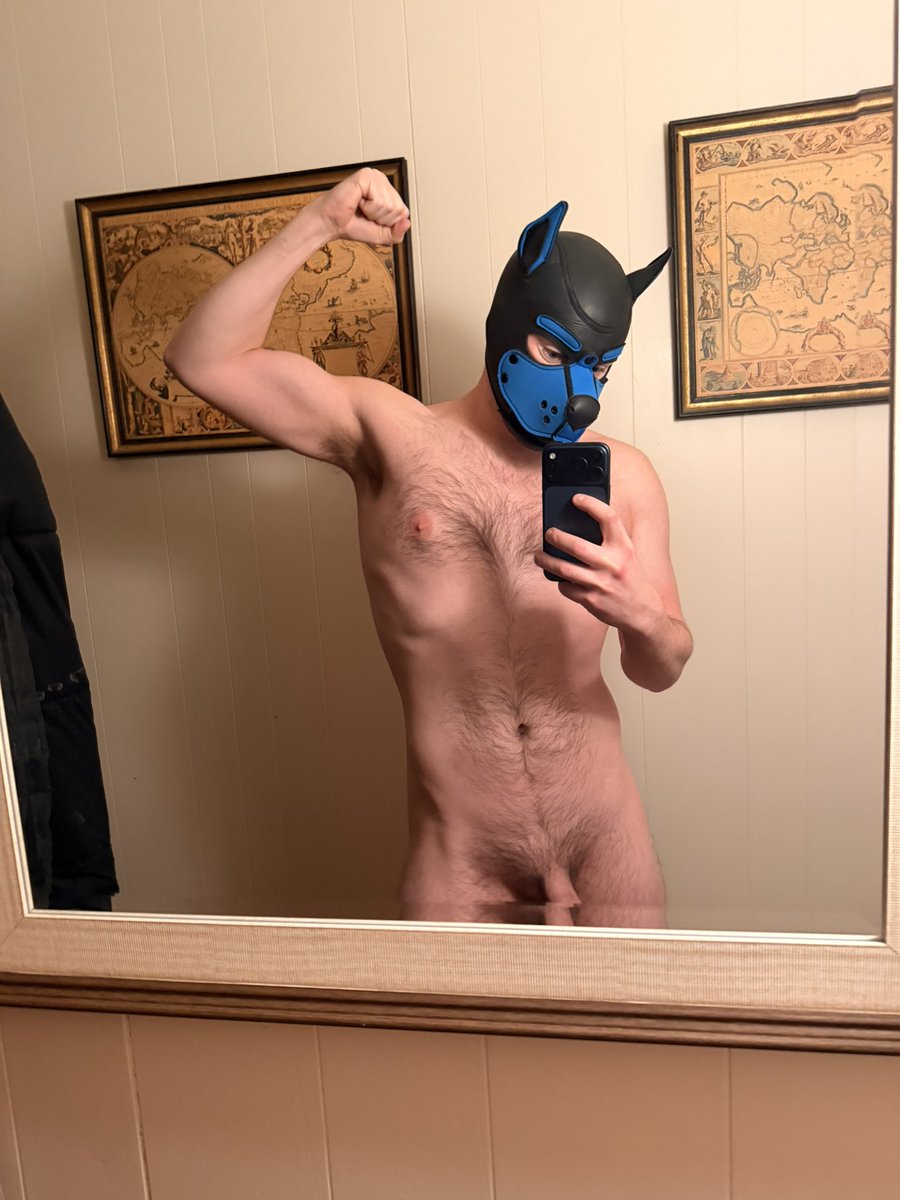 Pup Spidey tweet media