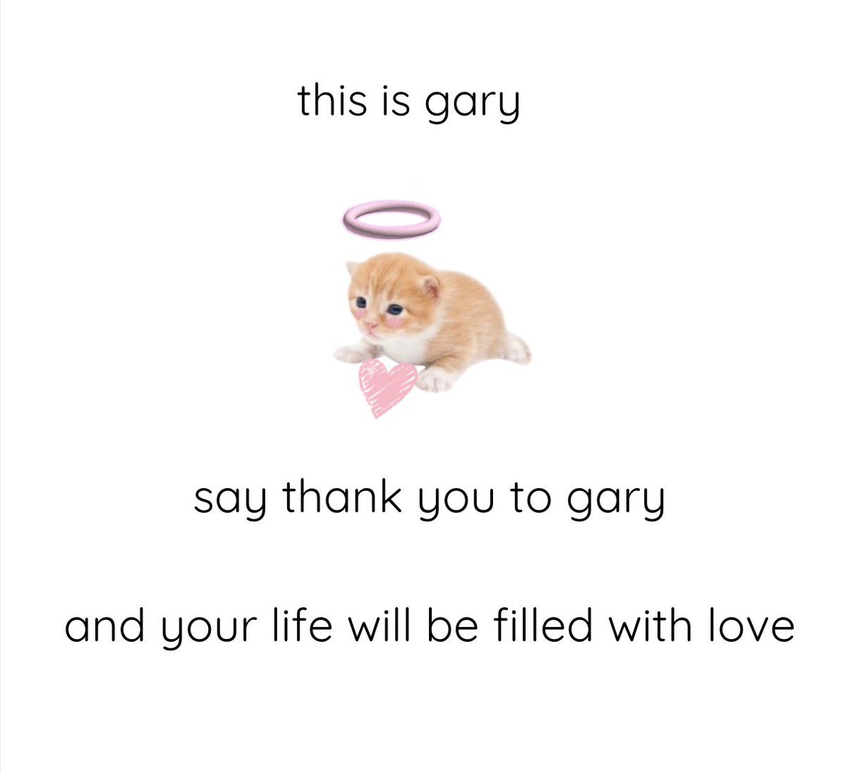 gary tweet media