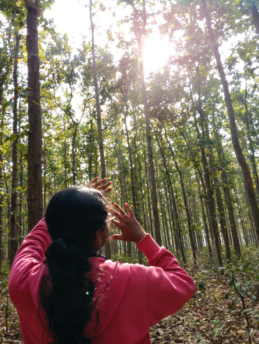 PRITINANDA PALAI tweet media