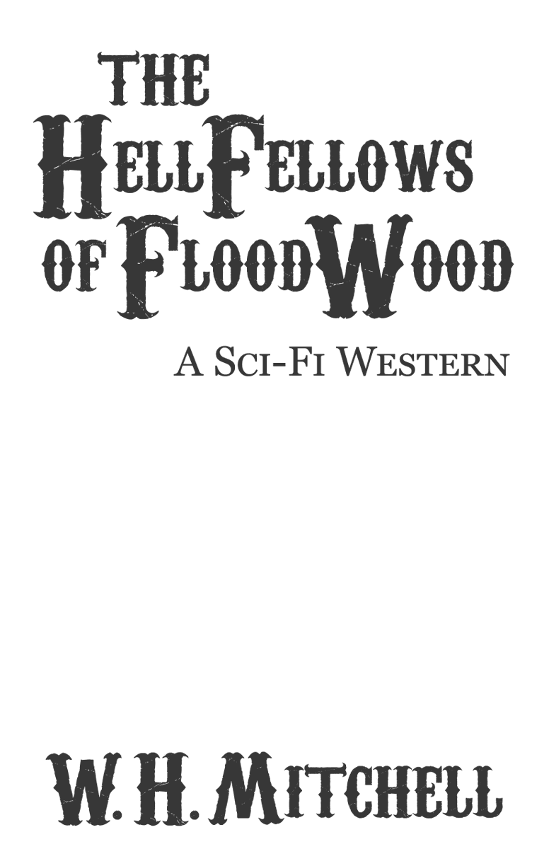 Author W. H. Mitchell 🚀🤖🕵️‍♂️ tweet media