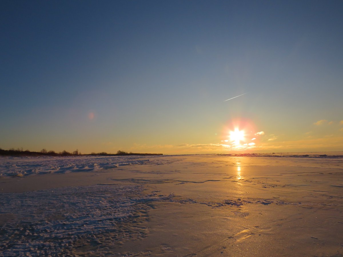 gunitakolle's tweet photo. Ainažu jūrmala 31.01.2026. https://t.co/qqnY99EkS3