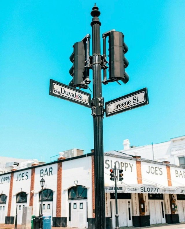 BlueMarlinMotel tweet media