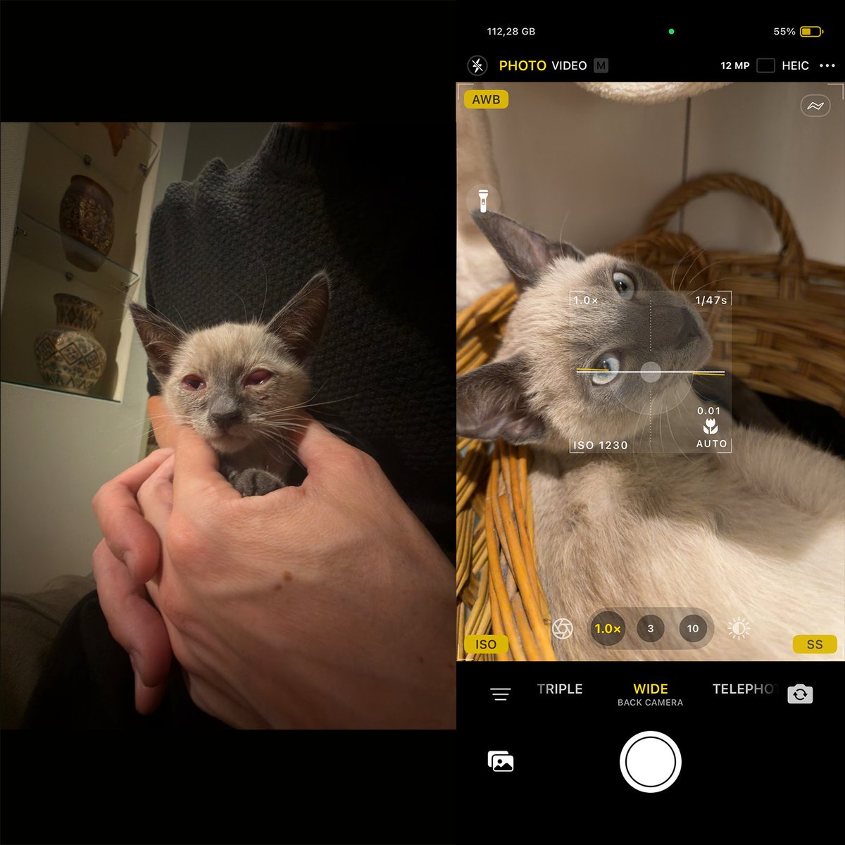 xZoom Cam - PRO Camera tweet media