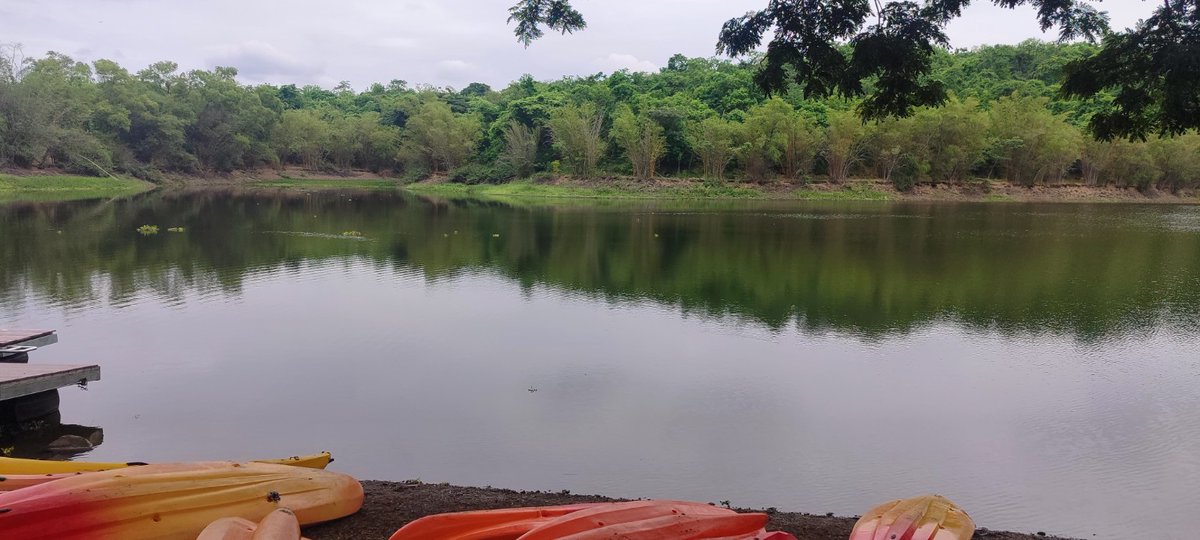 Mayken Espinoza-Andaluz ⚛ tweet media