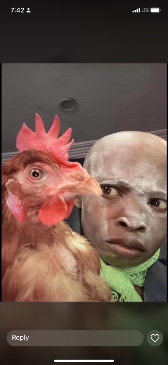 Your abusive boyfriend when he sees you eating Mango instead of WOMANgo