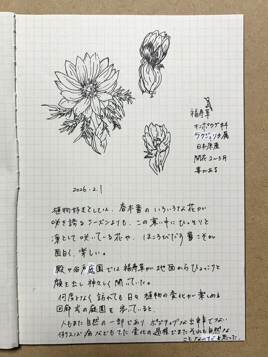 星川あすか Hoshikawa Asuka (@hoshias2) on Twitter photo 