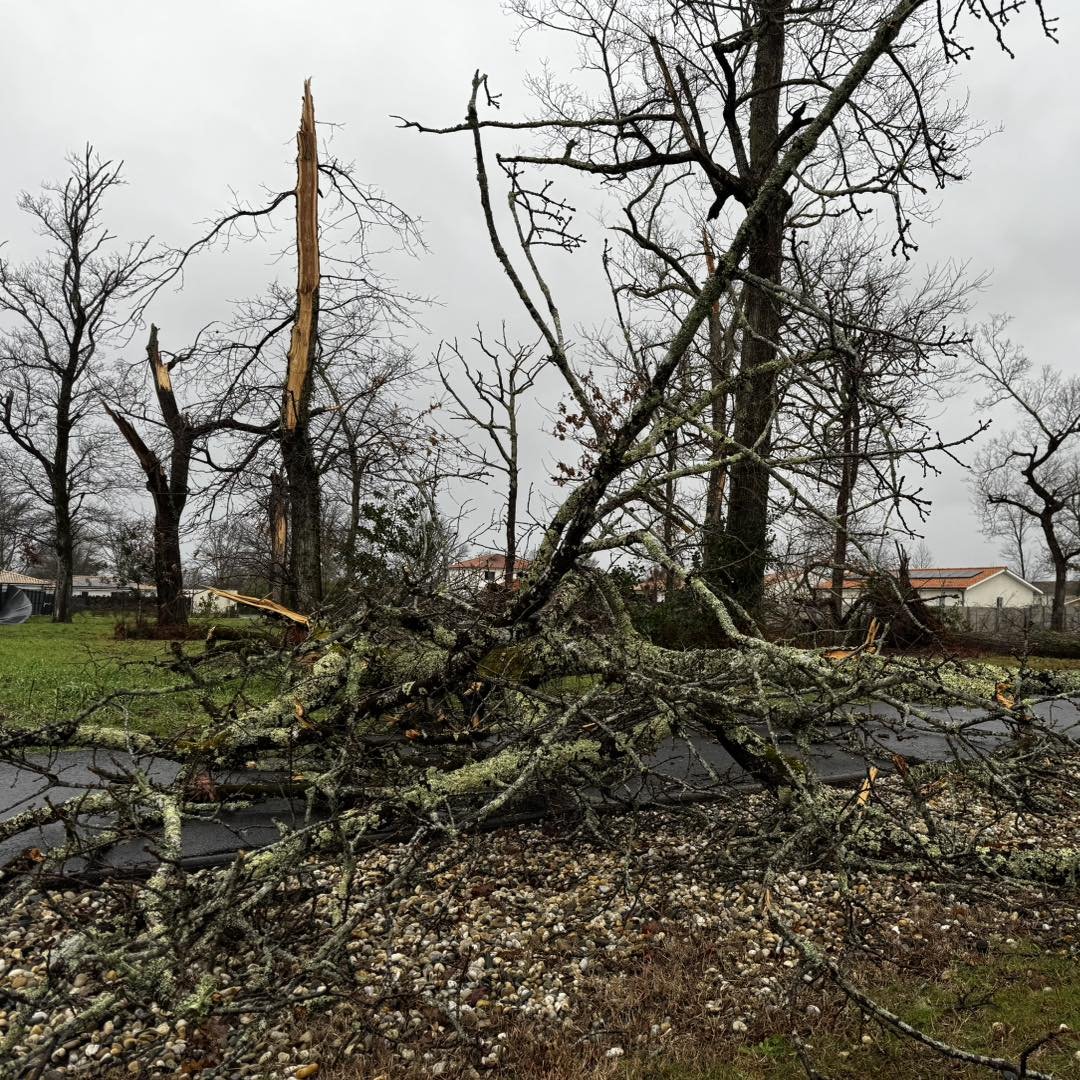 MeteoExpress's tweet photo. 🌪️ Après la tornade de samedi midi, la commune de Mios en Gironde vient de lever son plan de sauvegarde. 300 habitations ont subi des dégâts et 3 familles ont été relogées. Aucun blessé à signaler. (© mairie) https://t.co/HlB20ZqpFq