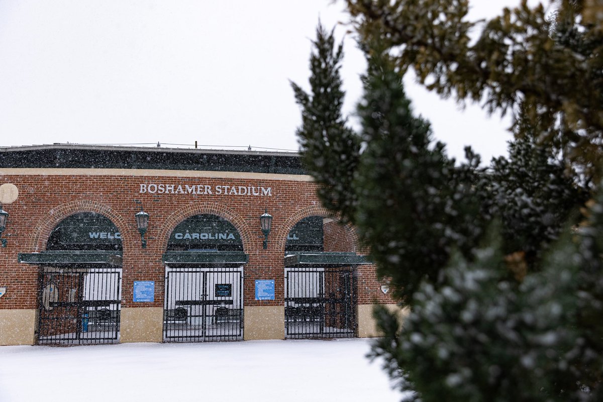 Carolina Baseball tweet media