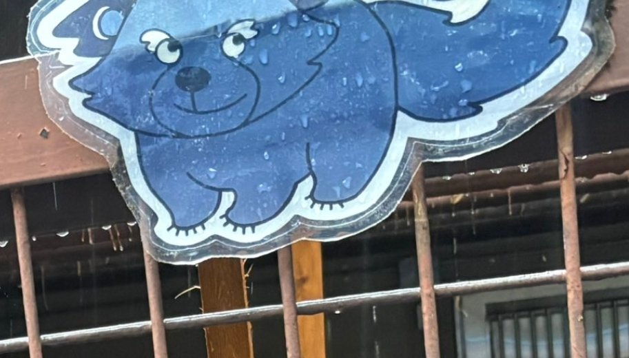 will sell and gamble everything for that laminate