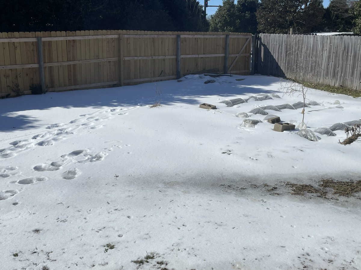 LawrenceDCodes tweet media