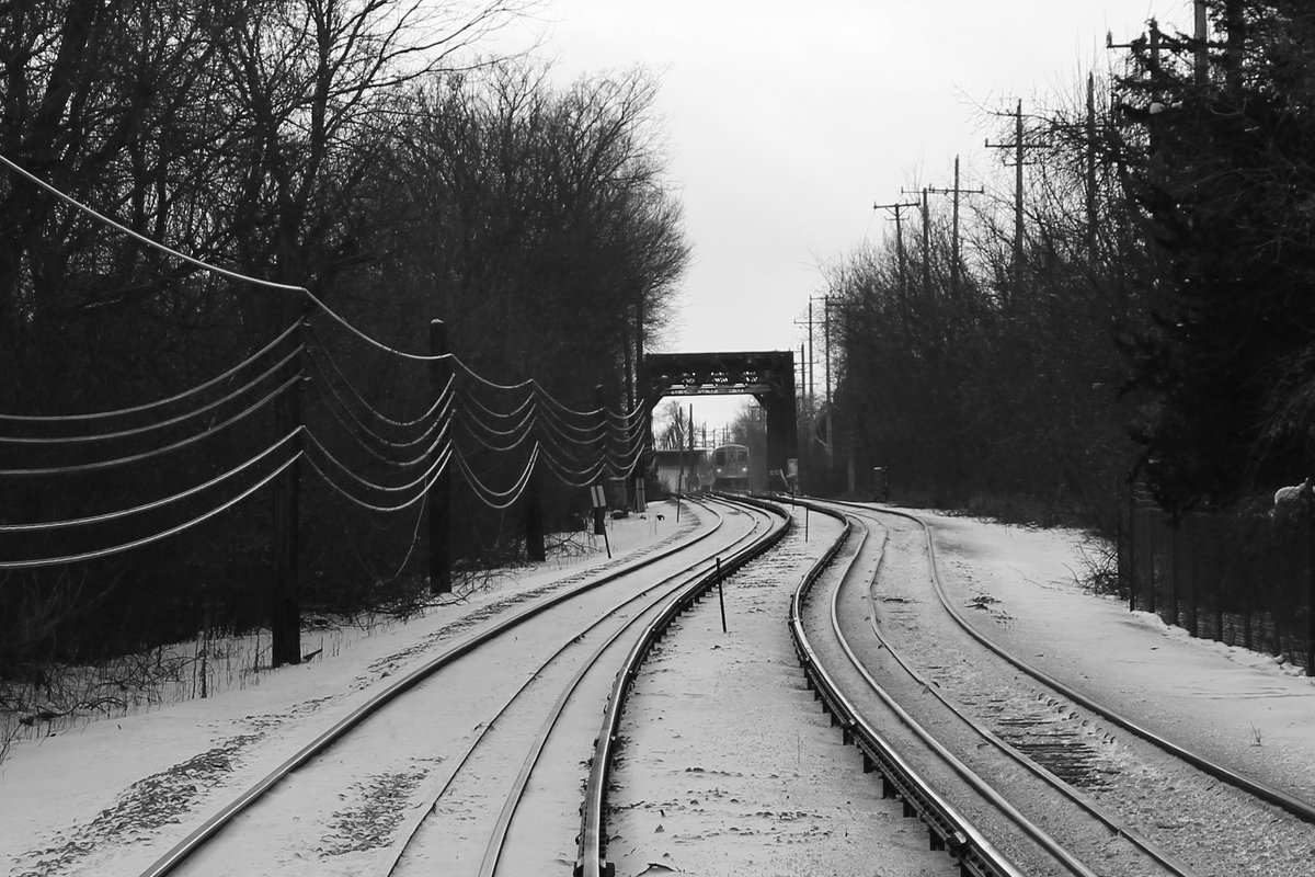 I didn’t get out much in January. Here are a few pics from the month.