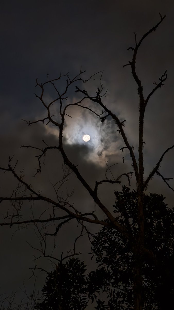 云散开了，月亮出现了，可是照亮的不是我。