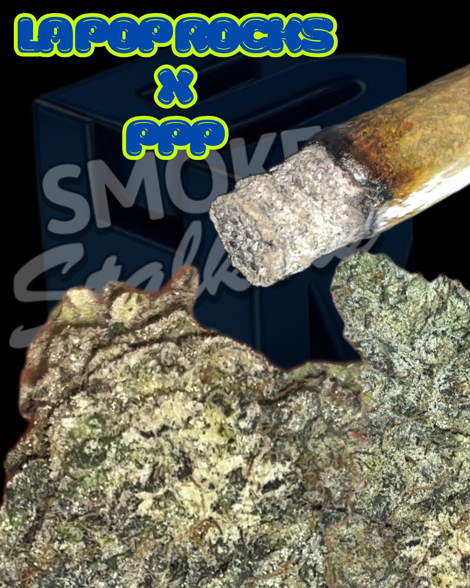New Review: LA Pop Rocks x PPP (Indica) 🍇🍬
• Pungent candy/gas nose 👃
• Clean white ash &amp; smooth burn ⚪
• Heavy eyes + body warmth 💤
• Consistent flavor profile 👅
Overall: 4.5/5. This batch isn't mid!
#Cannabis #StrainReview #LAPopRocks #SmokeStalkers #shophellomary