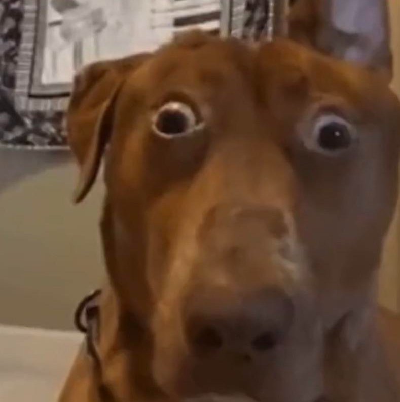 Blue Lock France tweet media