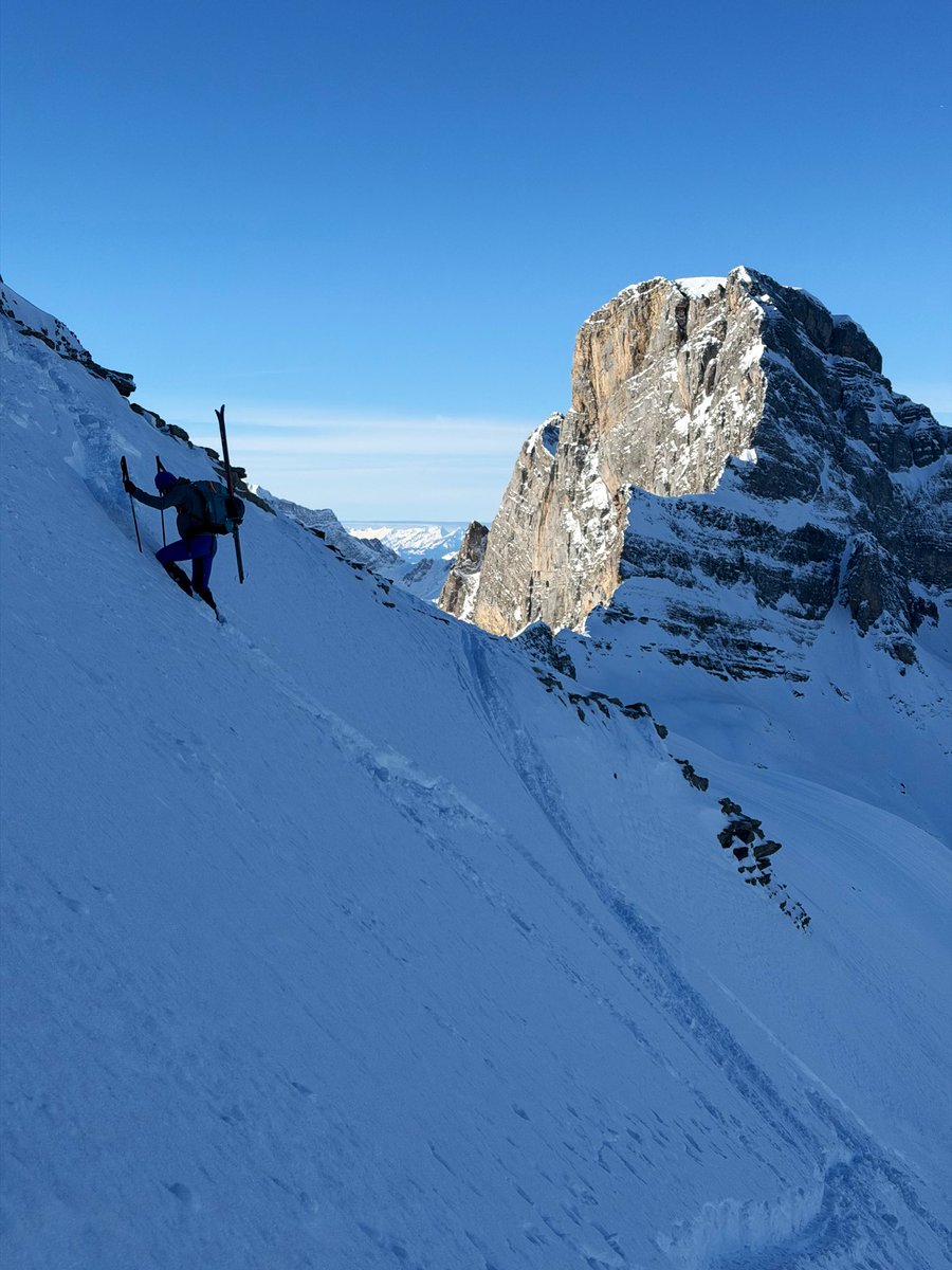 Edelweiss Capital tweet media