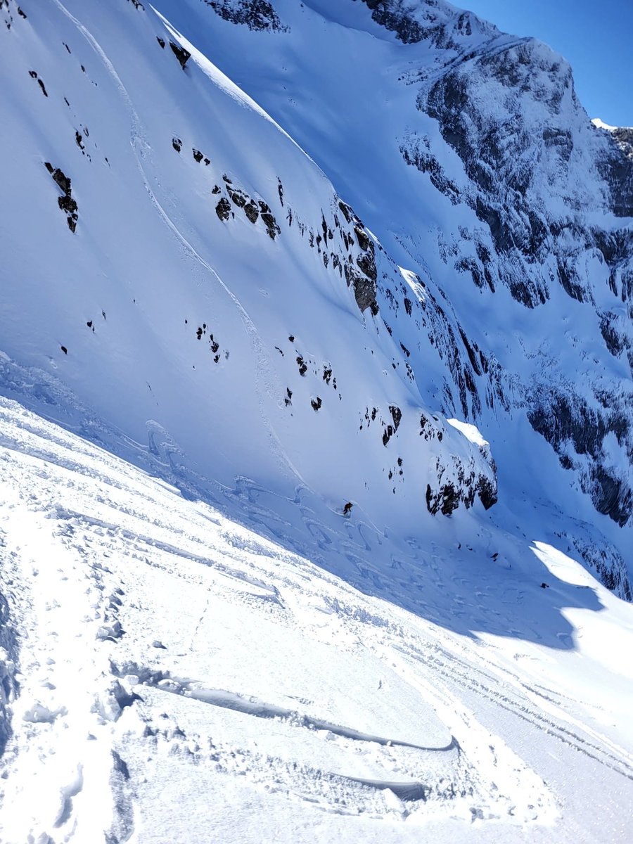 Edelweiss Capital tweet media