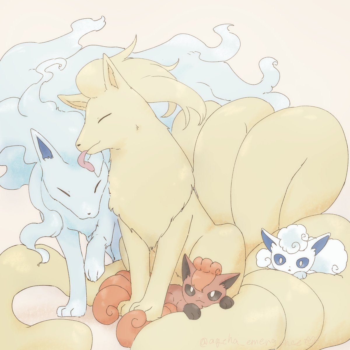 キュウコンファミリー