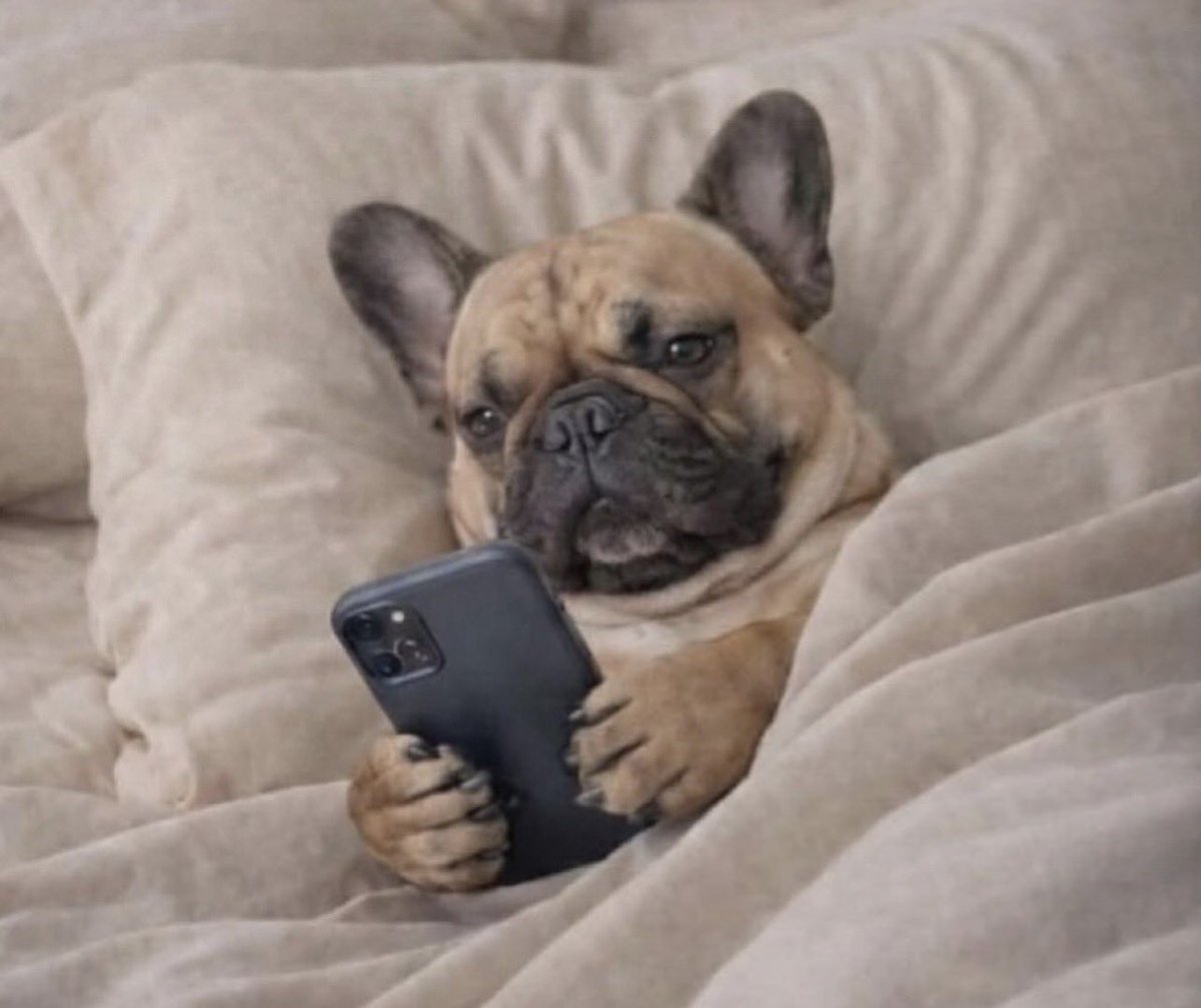 Yo viendo casas de 15 millones y diciendo: “no, no me gusta la cocina”.