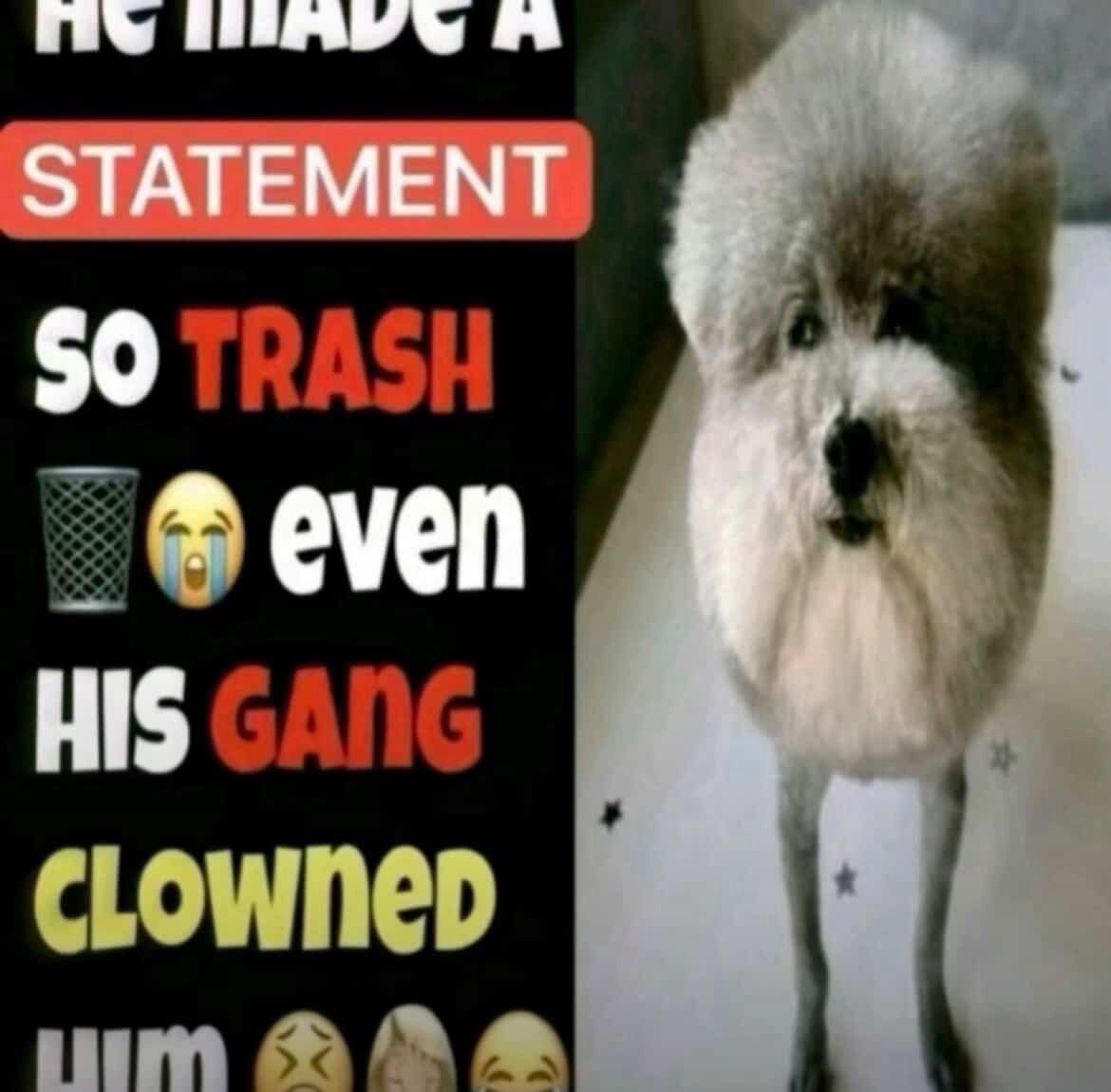 Certified_percy tweet media