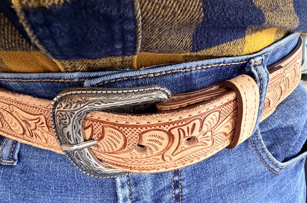 Usen en sus hermosos cinturones, antes de qué sea demasiado tarde.
Pedacito de mi León 🦁