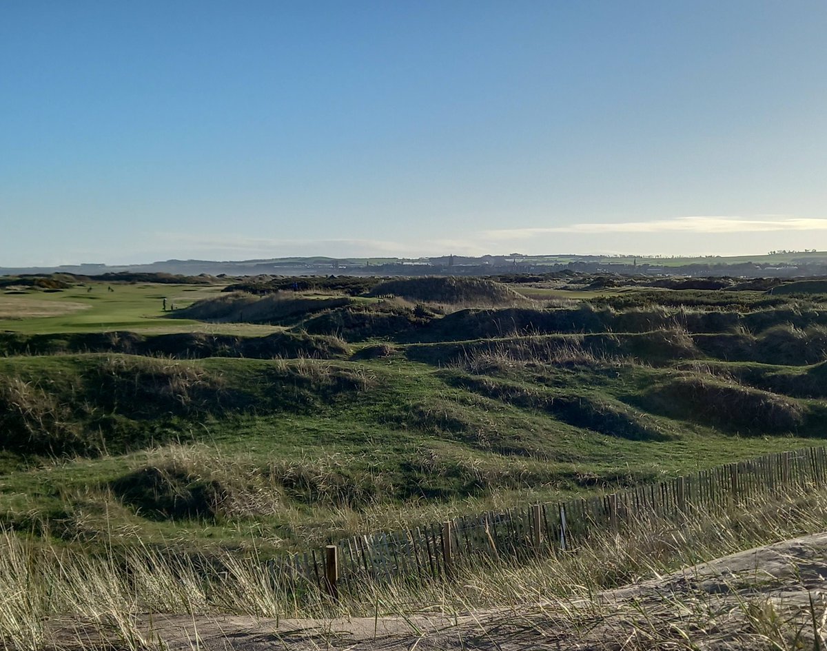 Hunor Deak tweet media