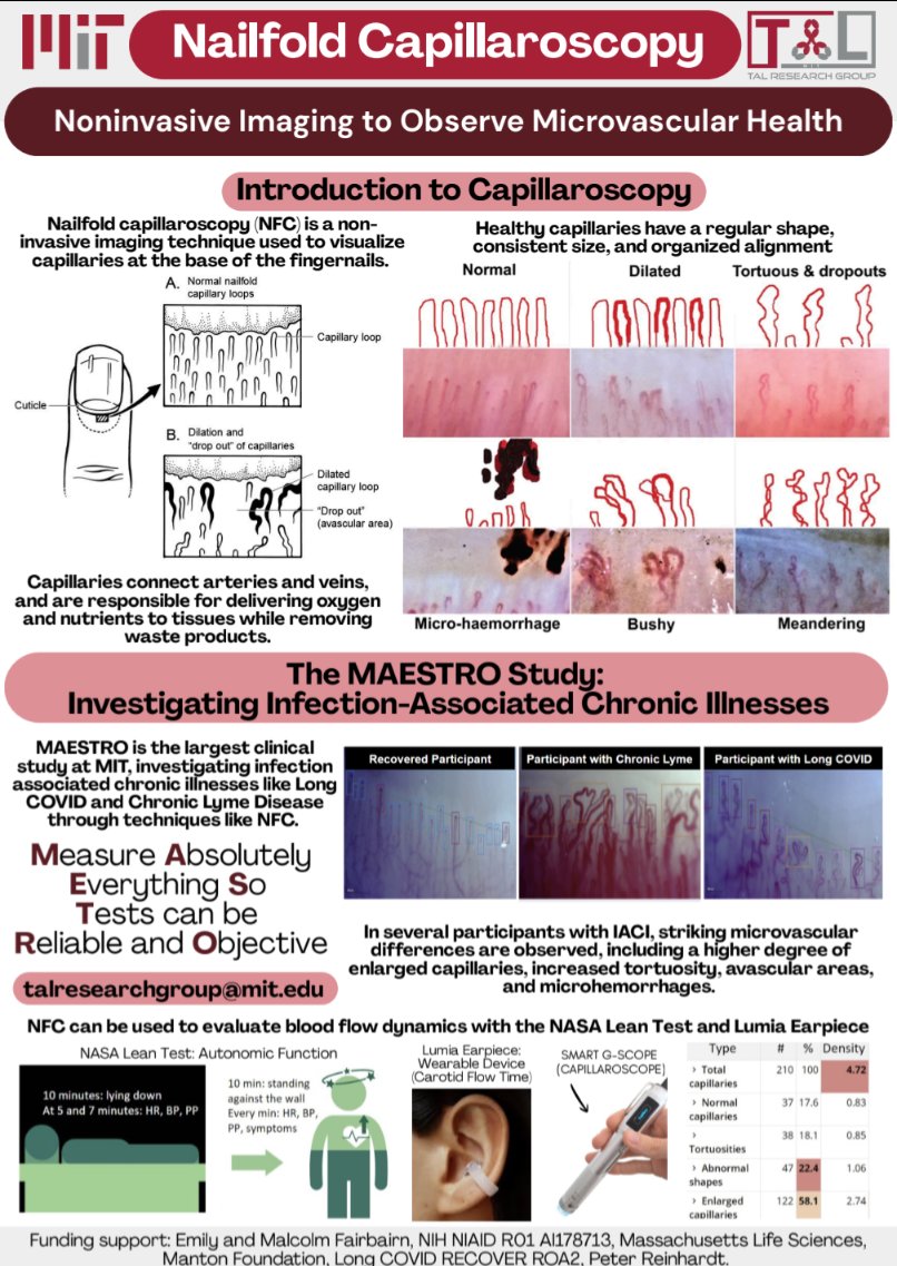 Michal Tal, PhD tweet media