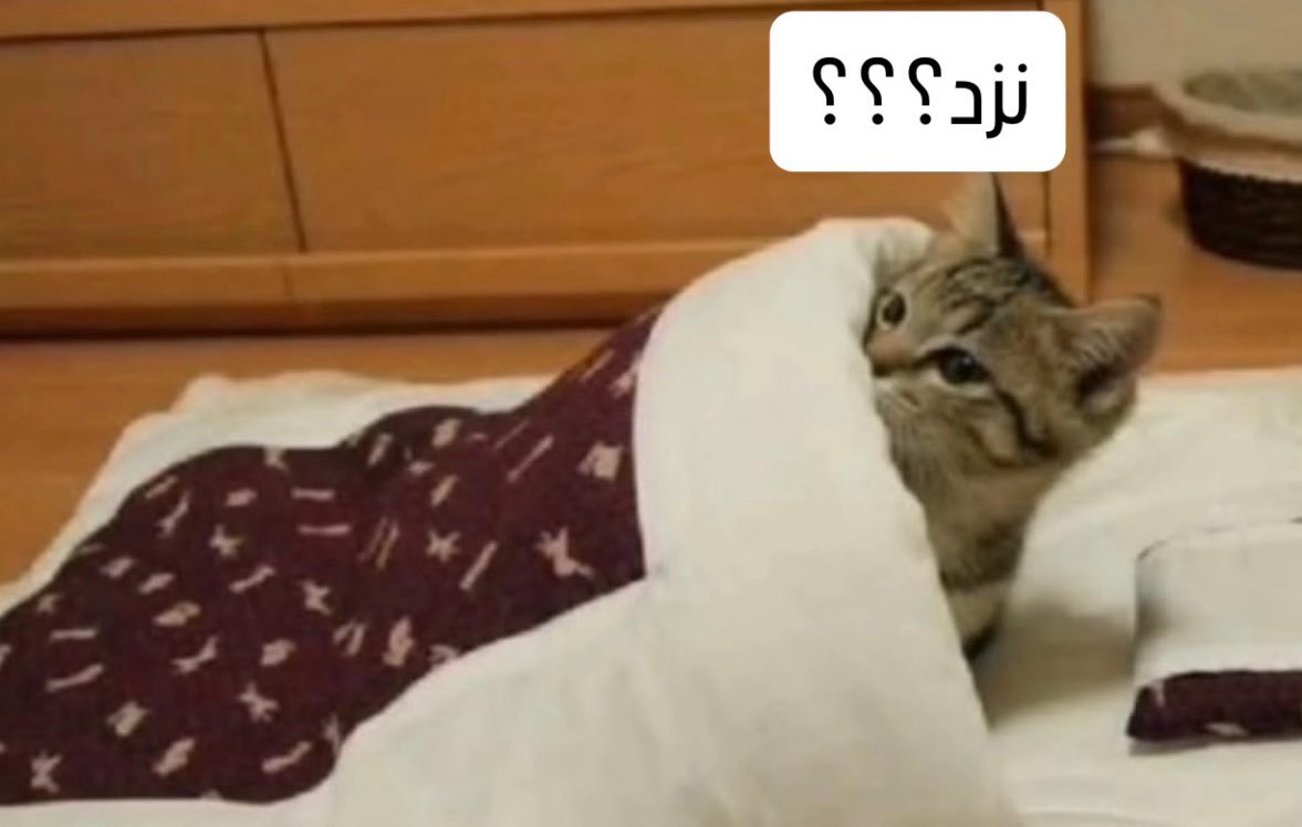 🚛کامیونْگ🚛 tweet media