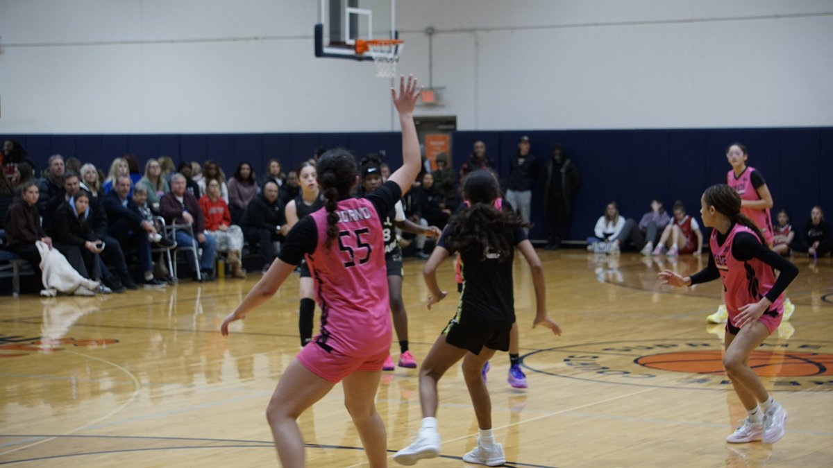 Illinois Lady Lightning Winter Classic tweet media