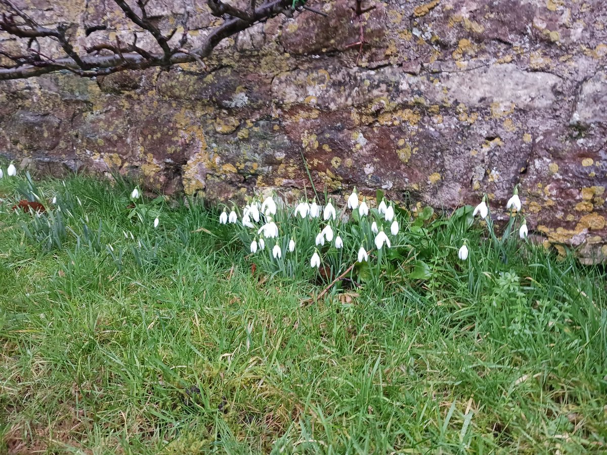 Louise Rossiter tweet media