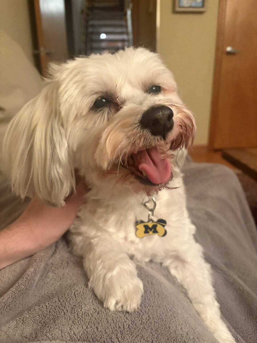 Stephen Chang tweet media