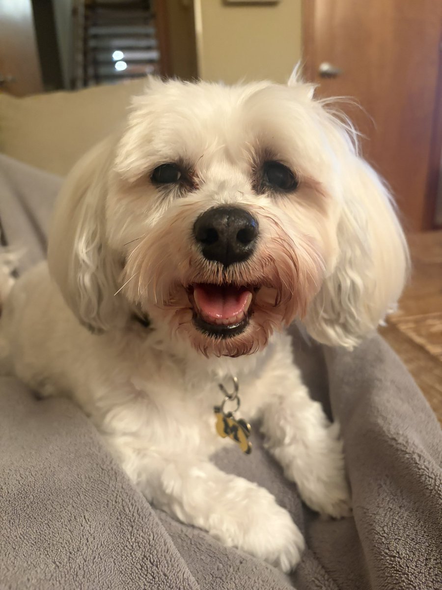 Stephen Chang tweet media