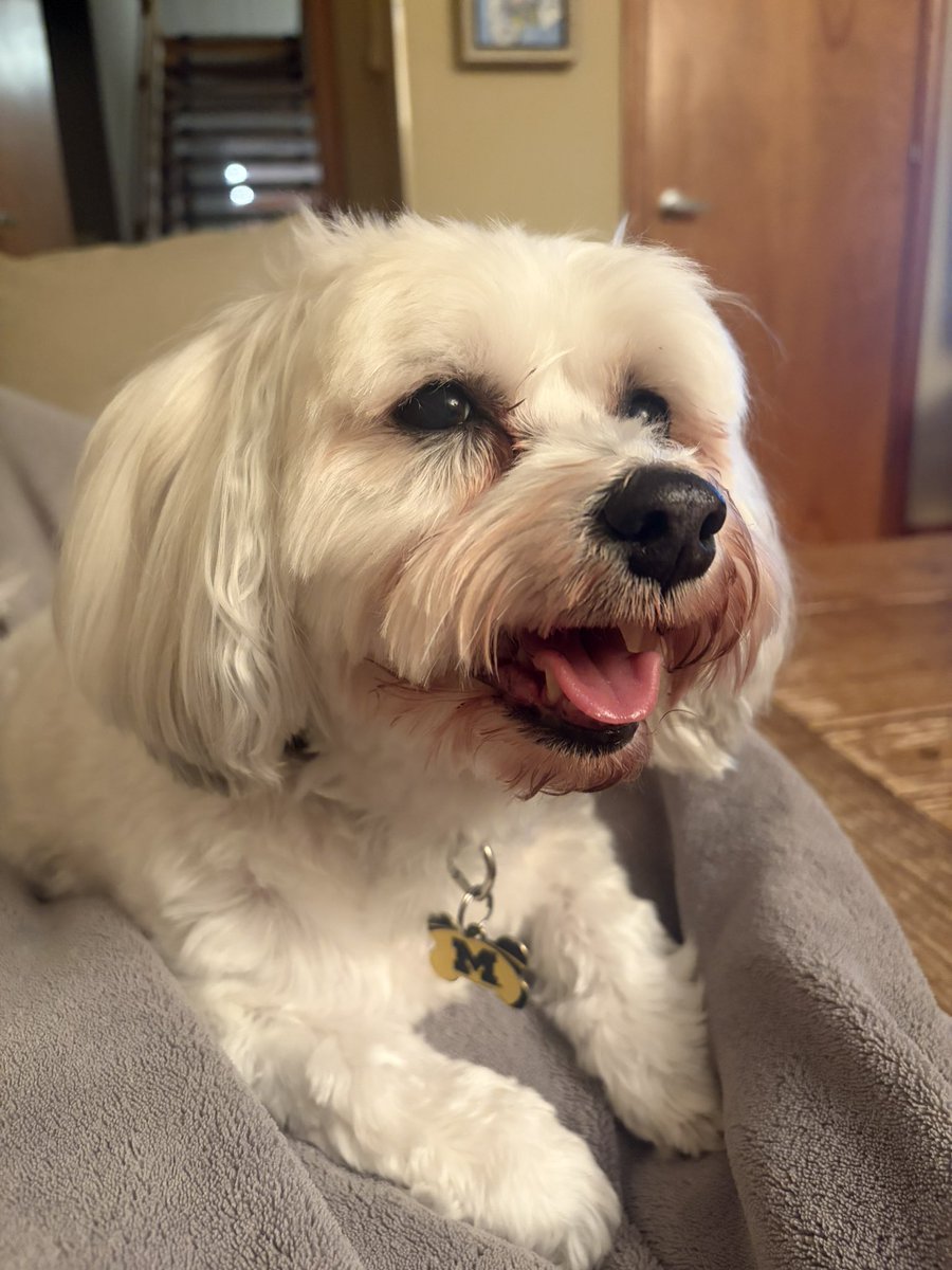 Stephen Chang tweet media