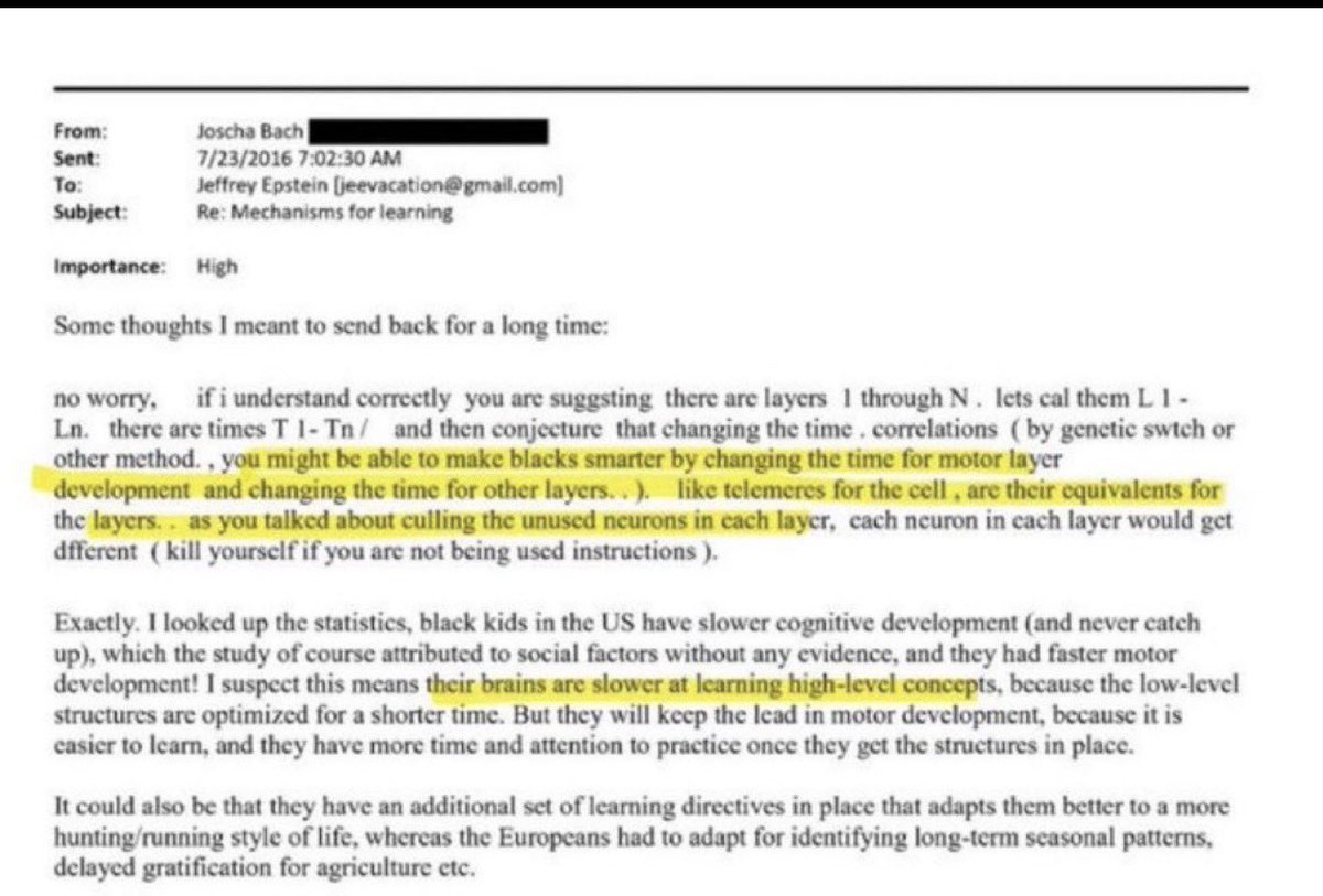 In a leaked email, Jeffrey Epstein discussed genetically engineering Black people to make them smarter, discussing how Whites had evolutionary pressures that rewarded long-term thinking over rapid muscle development.

Yakub