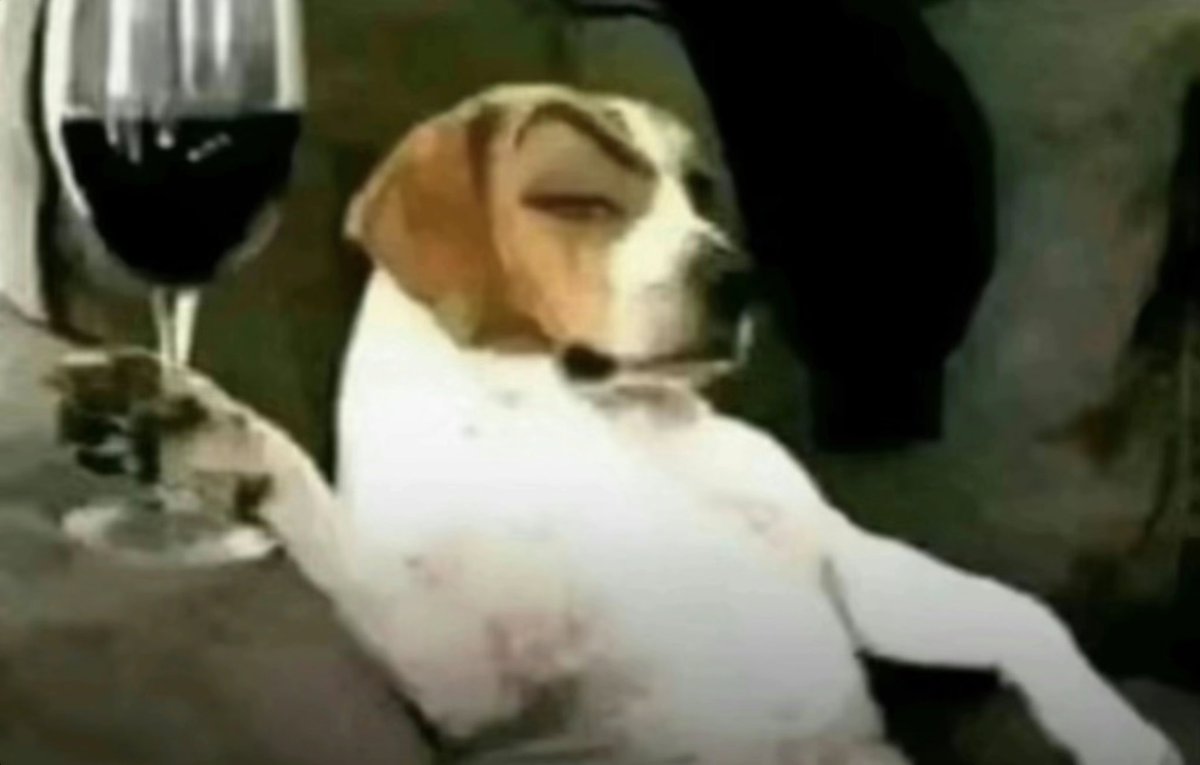 AND FUCK THIS REACTION GIF TOO