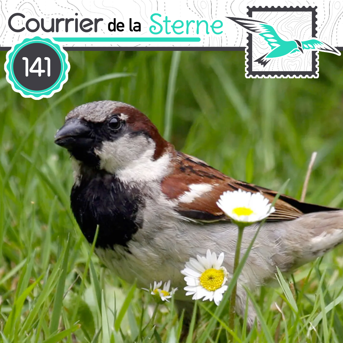 podCDLS's tweet image. Dans ce nouvel épisode, on revient sur la grande étude mené par le muséum d'histoire naturelle sur les oiseaux et les pesticides. 

Mais on vous parle aussi des Thamnophilidés..  Bonne écoute à tous et toutes !

youtu.be/MJ8Ib7r4OYo

podcastaddict.com/episode/https%…