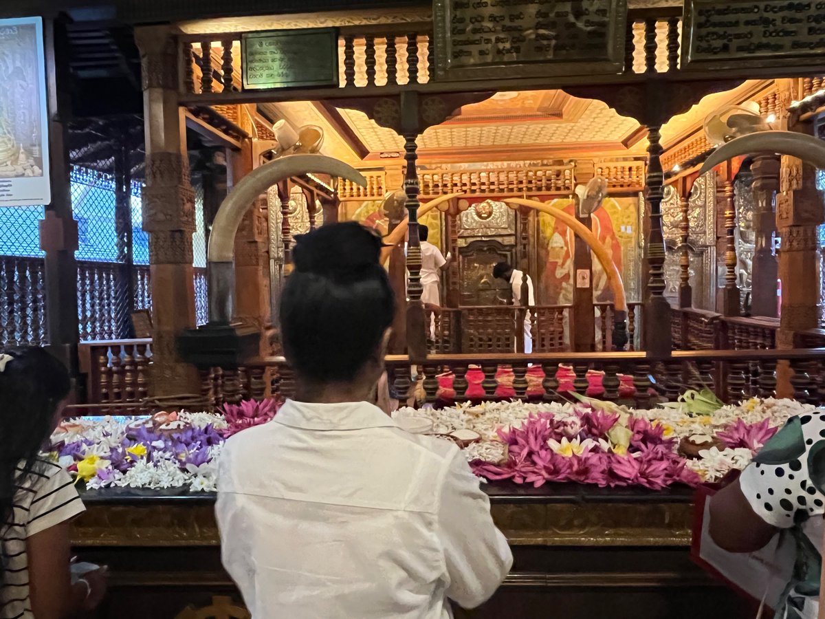 KNayagara's tweet photo. සාදු සාදු සාදු 🙏🙏🙏 https://t.co/hQxs2BNF0o