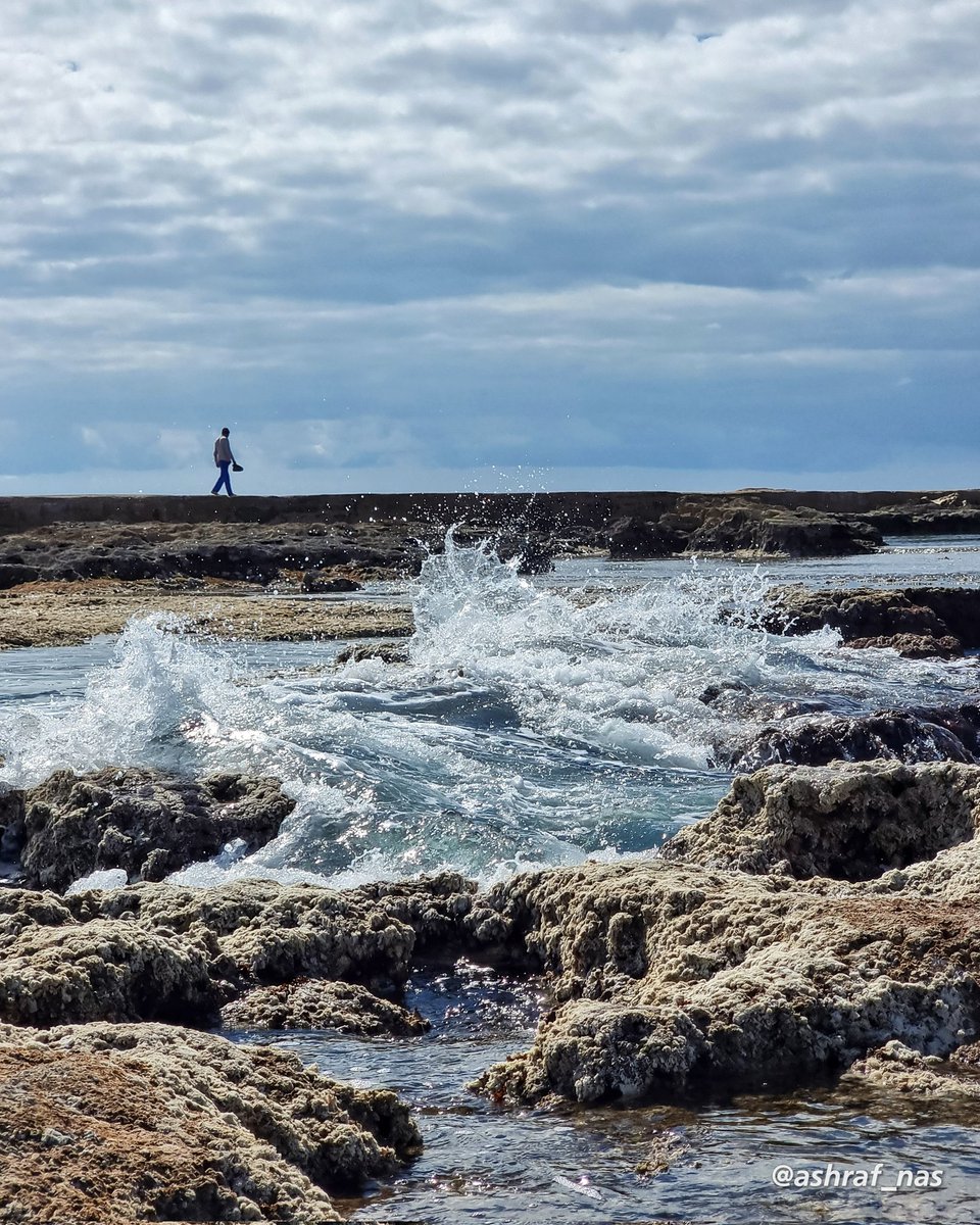 Ashraf Nasrallah tweet media