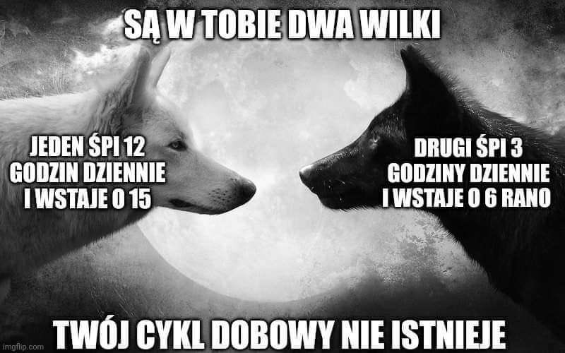 Arktos ⛄️ (@arktos0) on Twitter photo 