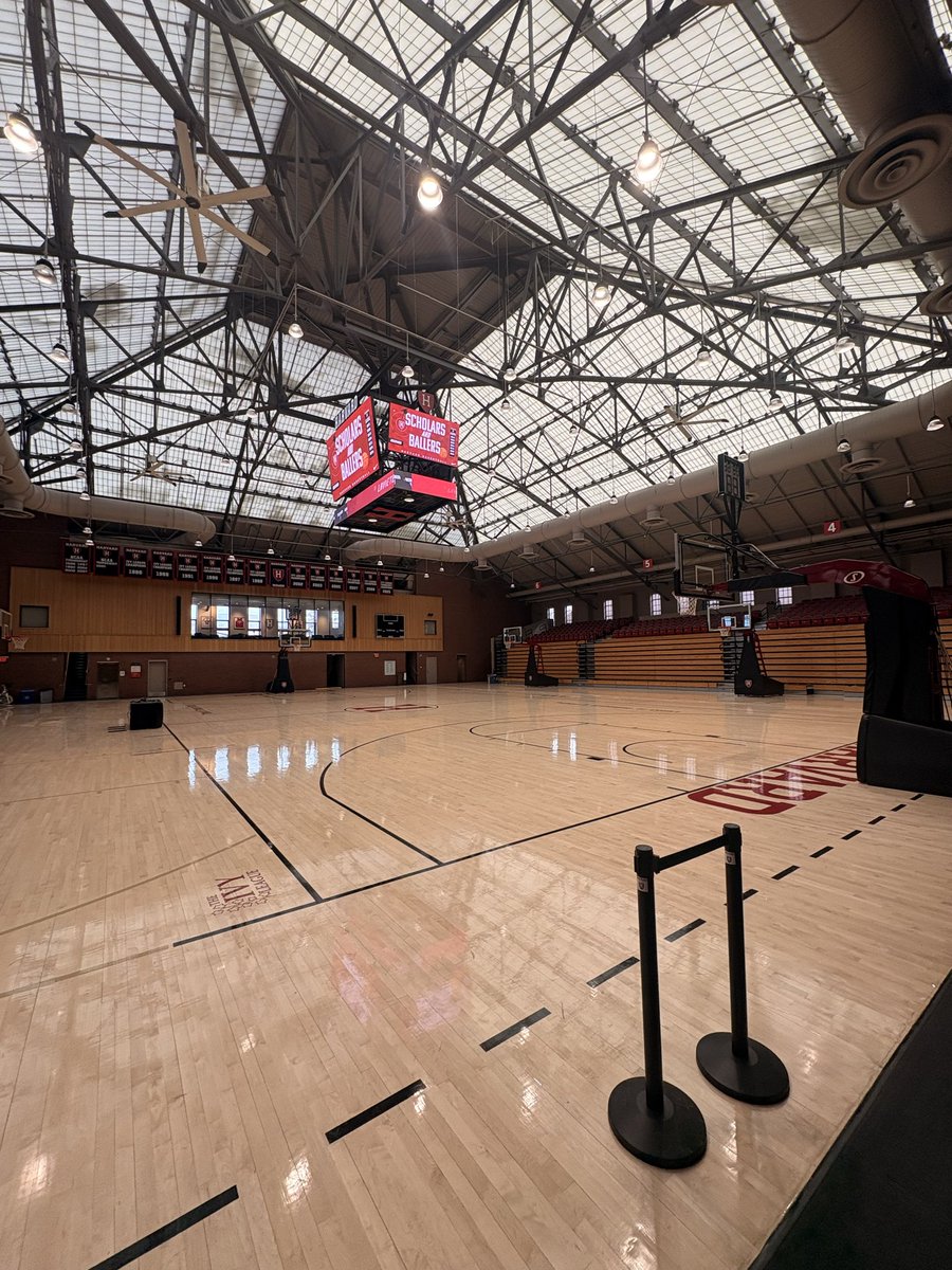 Duka Vuksanović tweet media