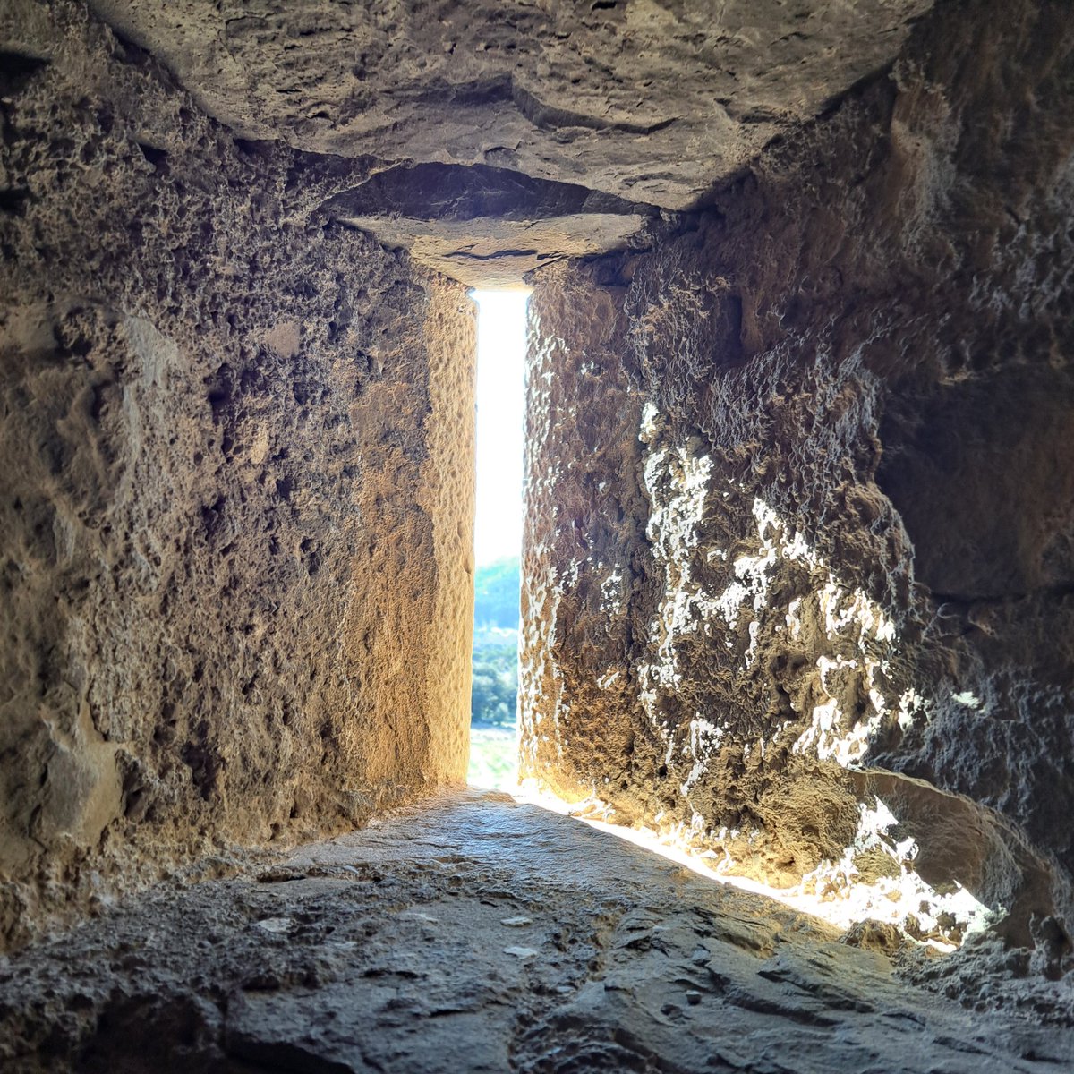 La Caçadora de Masies tweet media