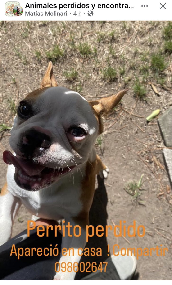 Adriana (@adriana43587622) on Twitter photo 