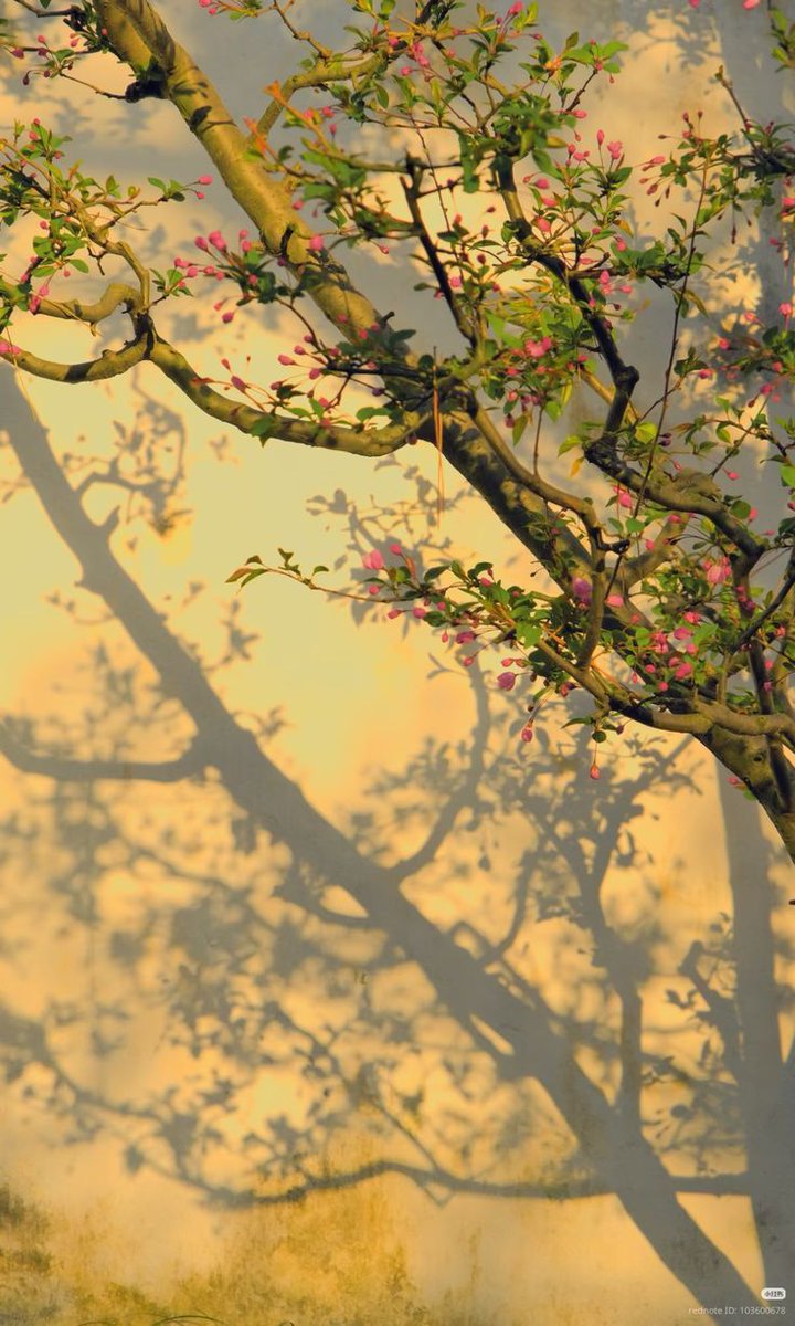 aestheticpost's tweet photo. https://t.co/CIV6ryjYKN