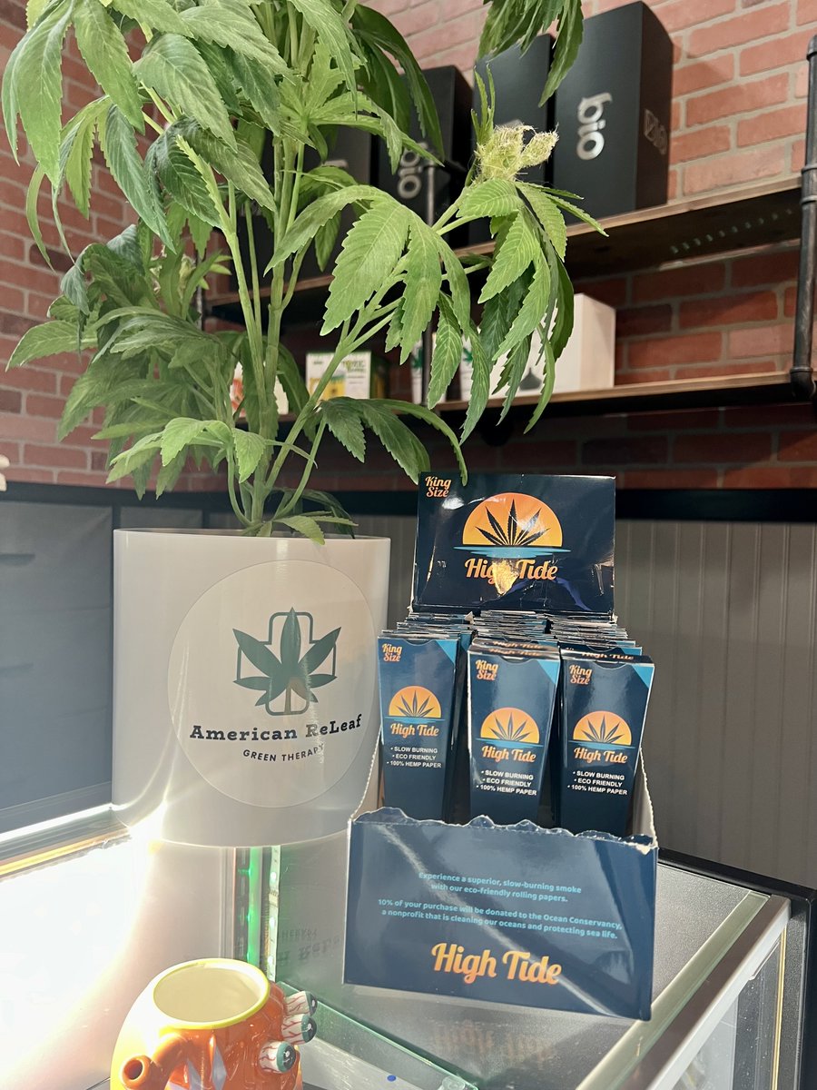 High Tide tweet media