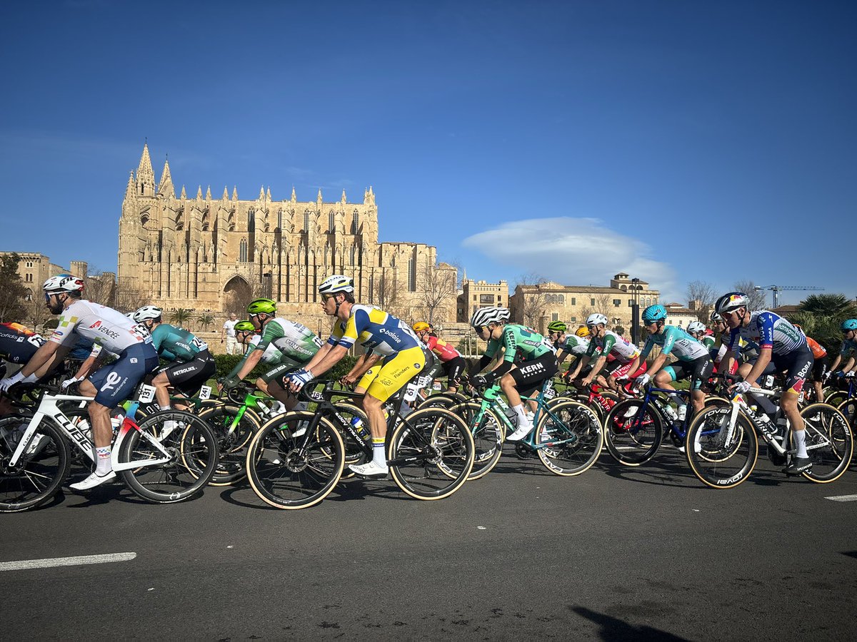 Never Strays Far tweet media