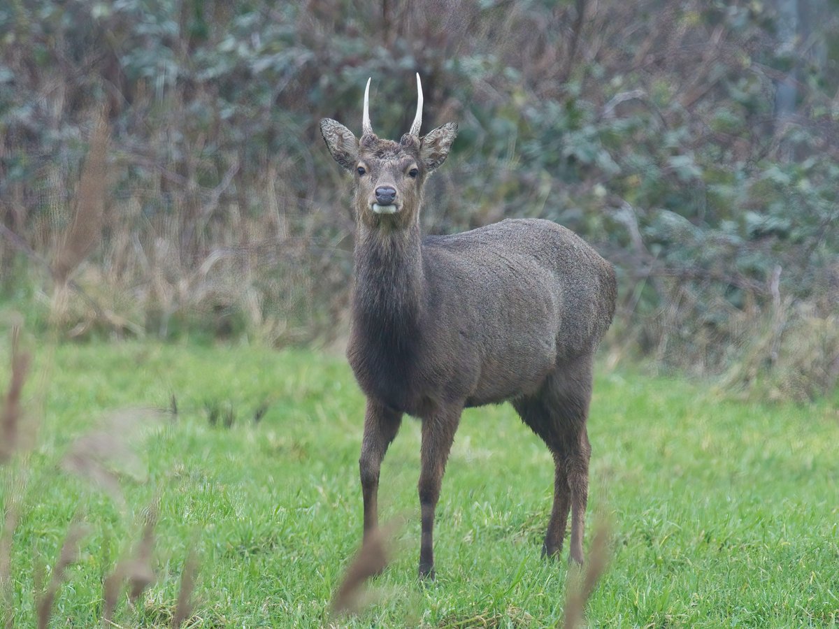 Chris Warran tweet media