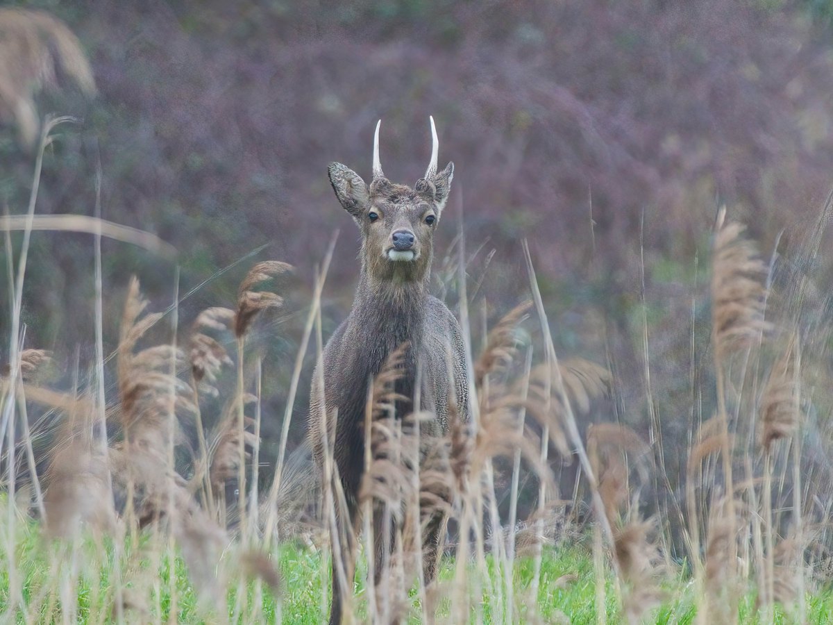 Chris Warran tweet media