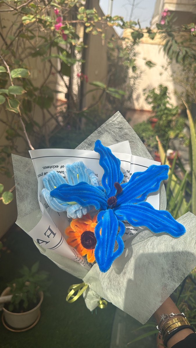 Alhanouf tweet media