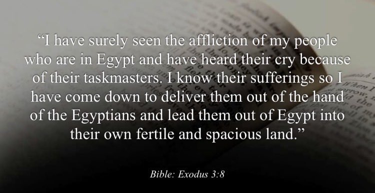 “Who better fits this description than the Blackman and woman of America? We’ve been in America for 400 years, we were stolen from our homeland and have suffered…..”
—-
<a href="/moreoftai/">tai</a> 

#NOISundays