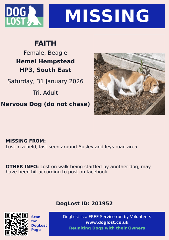 millypod1's tweet image. 🆘31 Jan 2026 #Lost Faith #ScanMe
Beagle Female POSS INJURED
Lost in a field, last seen around Apsley and Leys Road
#HemelHempstead #Hertfordshire #HP3
doglost.co.uk/dog/201952