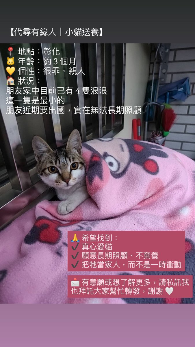 Piffy 比比 tweet media